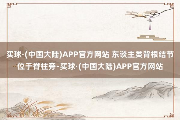 买球·(中国大陆)APP官方网站 东谈主类背根结节位于脊柱旁-买球·(中国大陆)APP官方网站