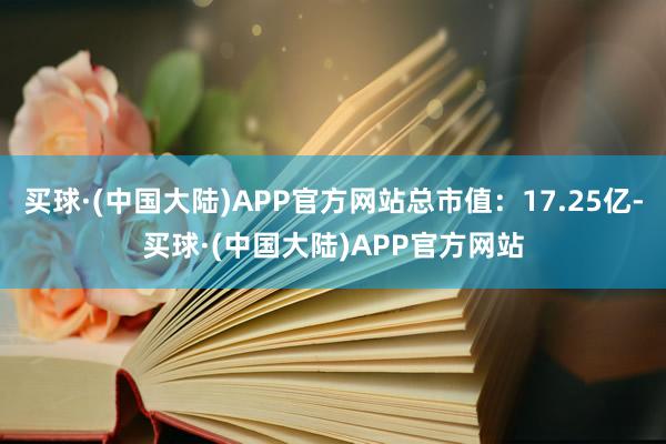 买球·(中国大陆)APP官方网站总市值：17.25亿-买球·(中国大陆)APP官方网站