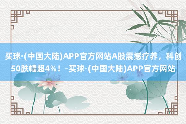 买球·(中国大陆)APP官方网站A股震撼疗养，科创50跌幅超4%！-买球·(中国大陆)APP官方网站