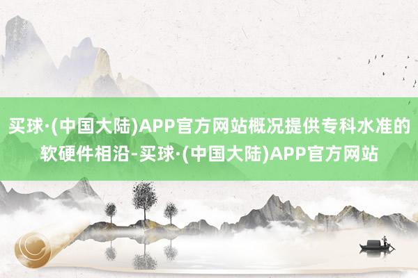 买球·(中国大陆)APP官方网站概况提供专科水准的软硬件相沿-买球·(中国大陆)APP官方网站