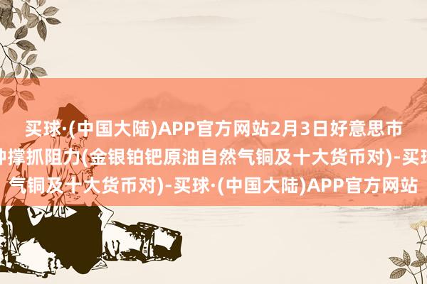 买球·(中国大陆)APP官方网站2月3日好意思市更新撑抓阻力：18品种撑抓阻力(金银铂钯原油自然气铜及十大货币对)-买球·(中国大陆)APP官方网站